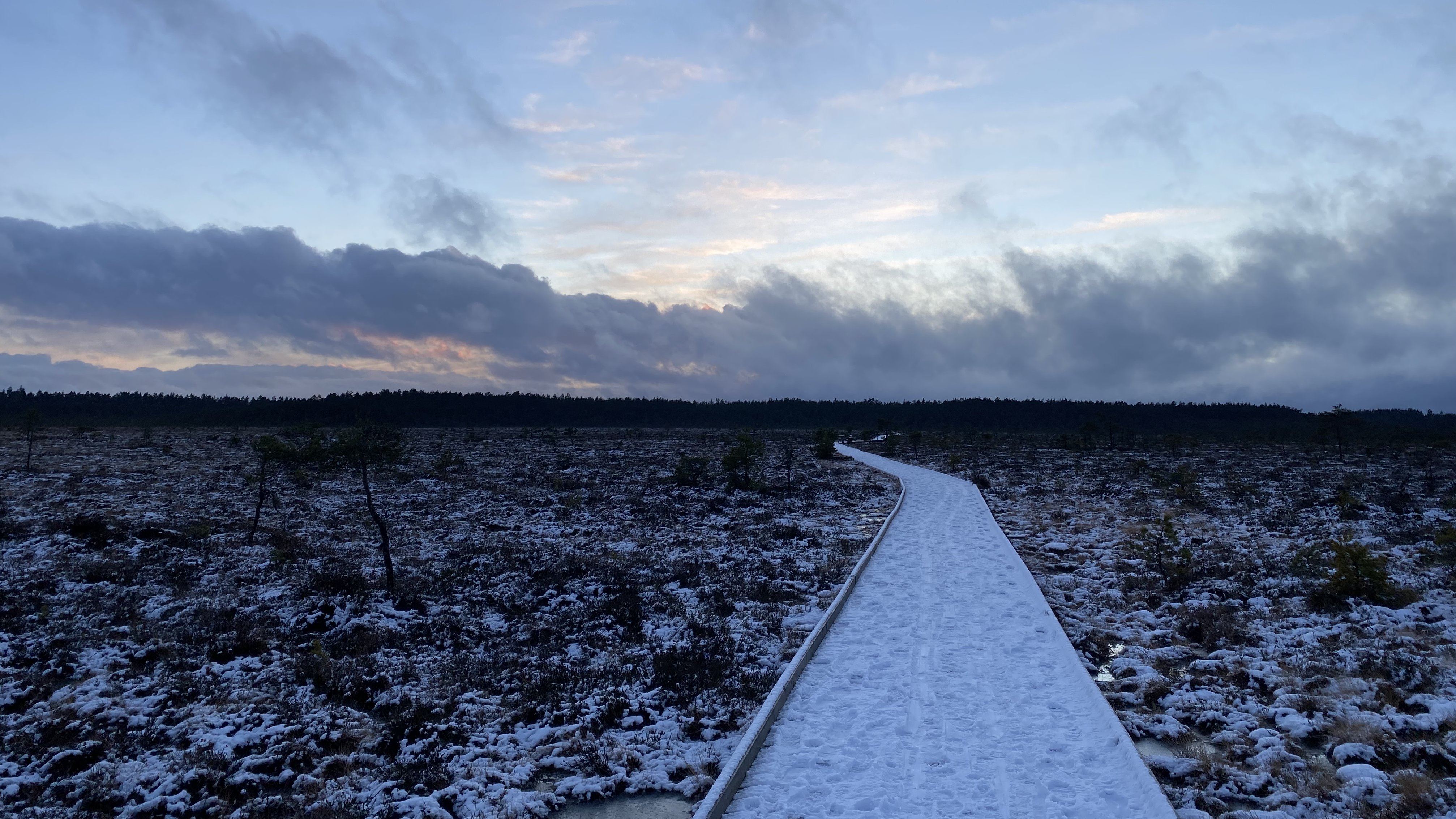 ein verschneiter Weg durch schwedische Weiten