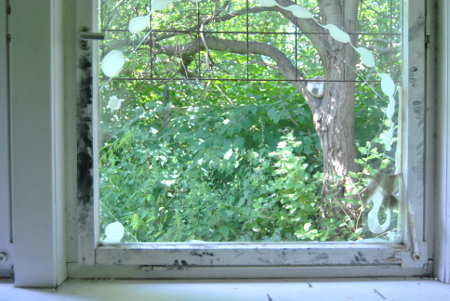 Durch einen zukünftigen Fensterrahmen, lässt sich ein Blick auf einen Baum erhaschen.