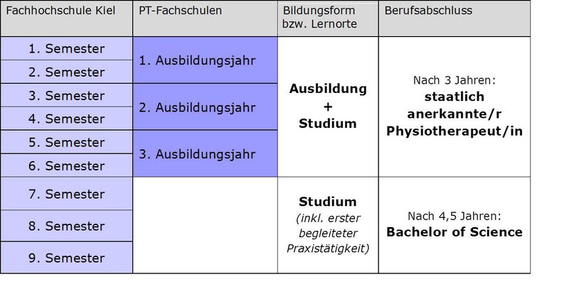 [Translate to English:] Tabelle "Studienstruktur"