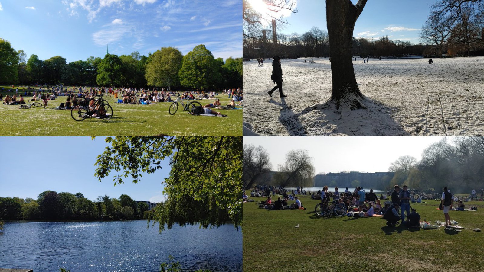 Fotocollage Schrevenpark