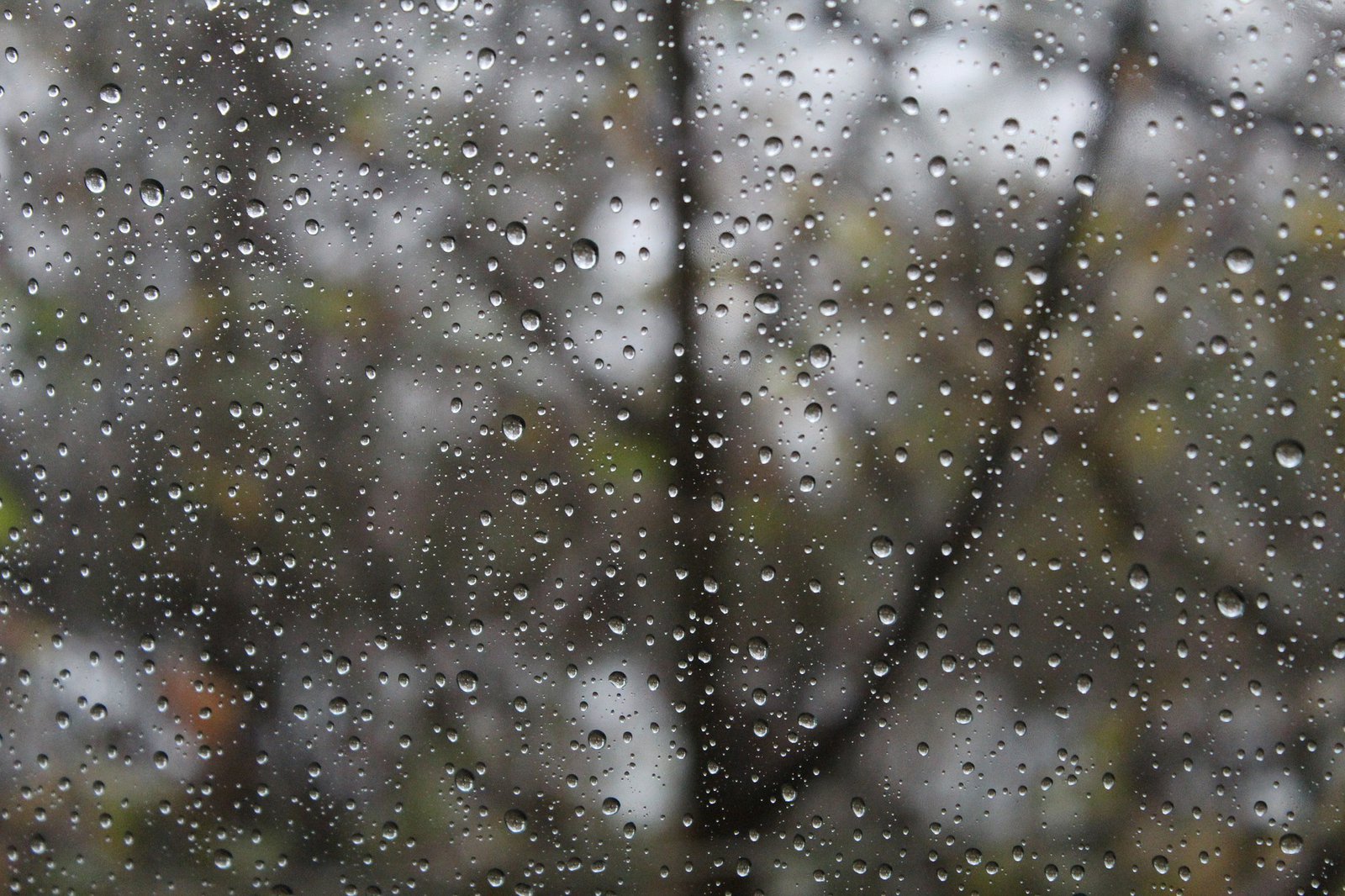 Eine mit regen beheftete Glasscheibe, durch die man verschwommen einen Baum sieht.