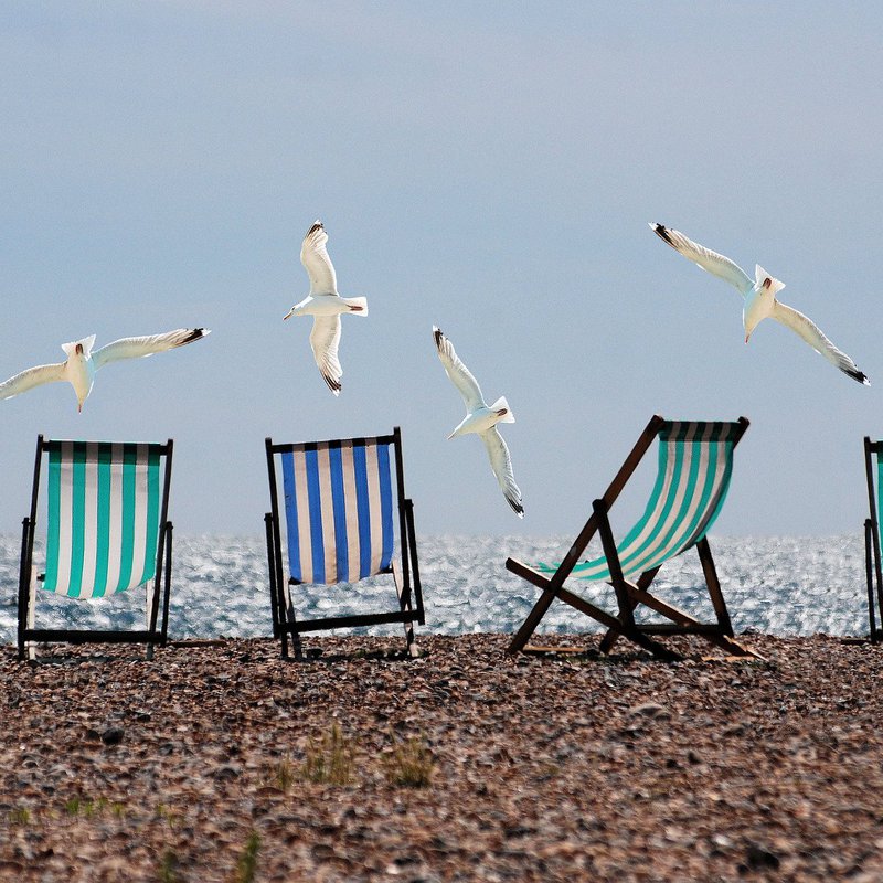 Am Laboer Strand trifft am 6. August kultureller Austausch auf Möwengeschrei. (Foto: Pixabay)