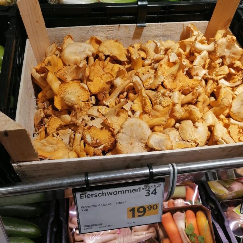 Pilze auf dem Markt