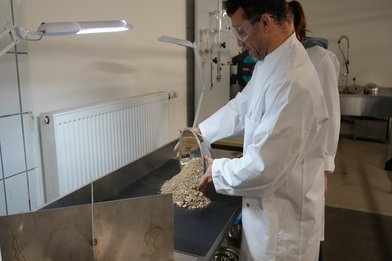 Vorbereitung der Probe