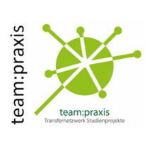 Logo Teampraxis