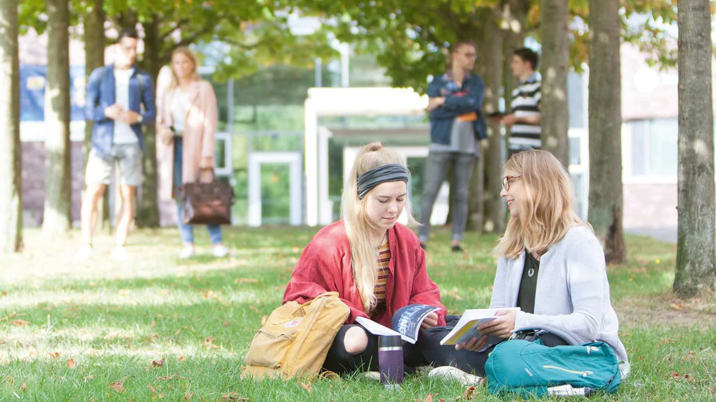 Studierende sitzend unter den Bäumen