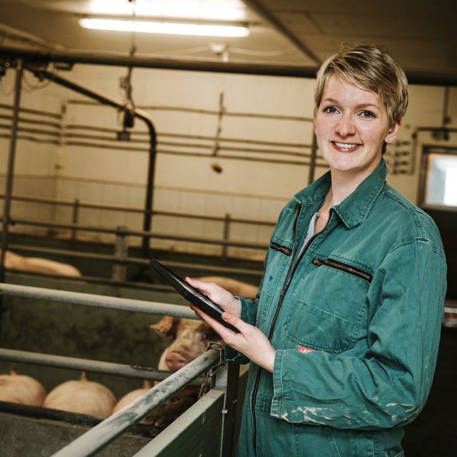 Nele Bielfeldt steht im Schweinestall und hält ein Tablet in der Hand 