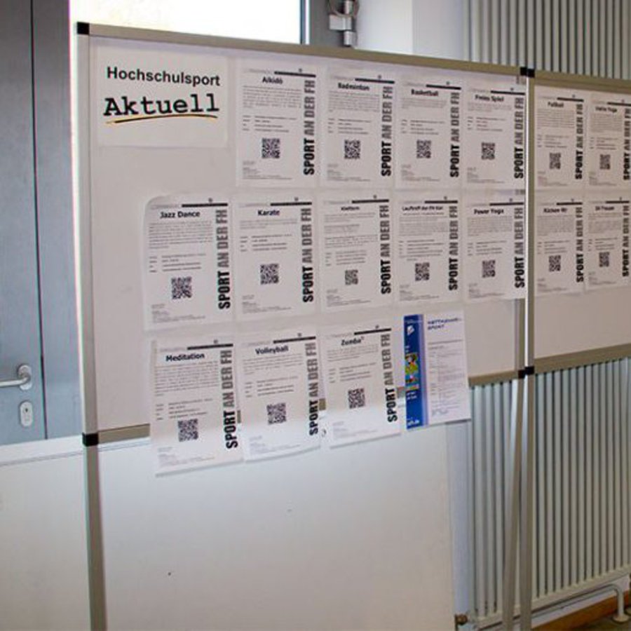 Eine Infowand mit Materialien zum Hochschulsport.