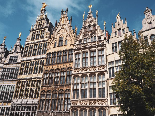 Der Grote Markt in Antwerpen. Der größte Platz mit vielen bunten Häusern und dem Rathaus. Foto: Baxmann