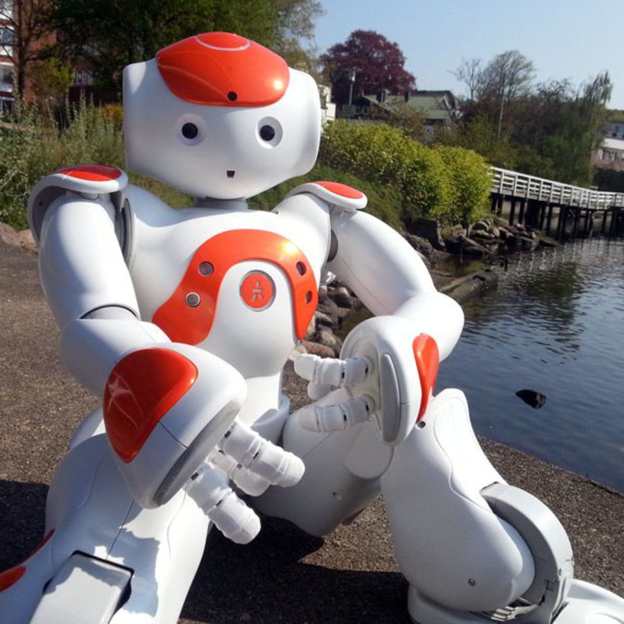 Ein Serviceroboter in menschenähnlicher Gestalt, sitzt an einem Ufer Nahe der Schwentinemündung.