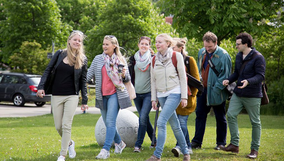 Eine Gruppe von Studierenden unterwegs zu Fuß auf einer Grünfläche des Campus. 