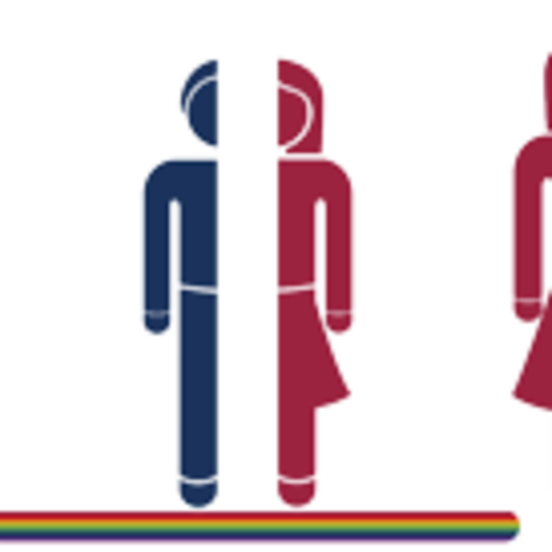Die Grafik zeigt ein Männlichsymbol, ein Weiblichsymbol und eins mit einer Hälfte von jeweils einem.