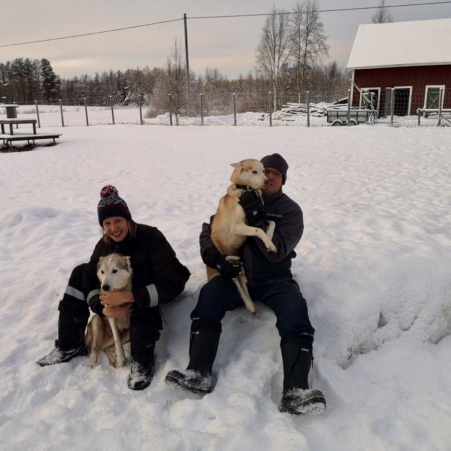 Mann und Frau mit zwei Hunden im Schnee