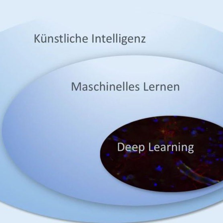 eine Grafik mit drei Ellipsen, die Themenfelder der Künstlichen Intelligenz beschreiben