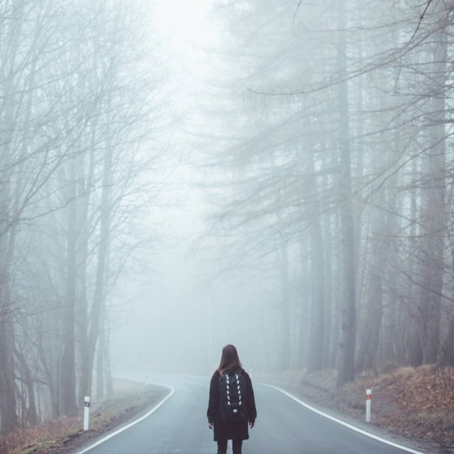 Eine Frau steht auf einer Landstraße und ist von Nebel und hohen Bäumen umgeben.