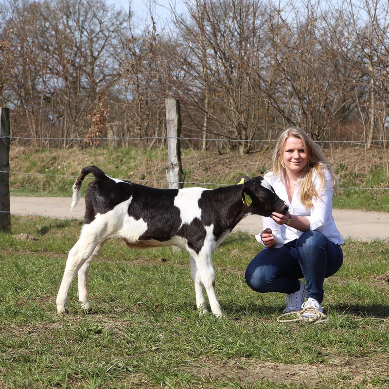 Nina Zingelmann zusammen mit einem Kalb auf einer Wiese.