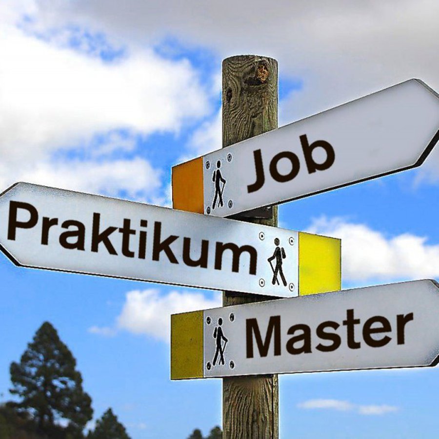 Ein Orientierungpfahl mit den Aufschriften "Job", "Praktikum" und "Master".