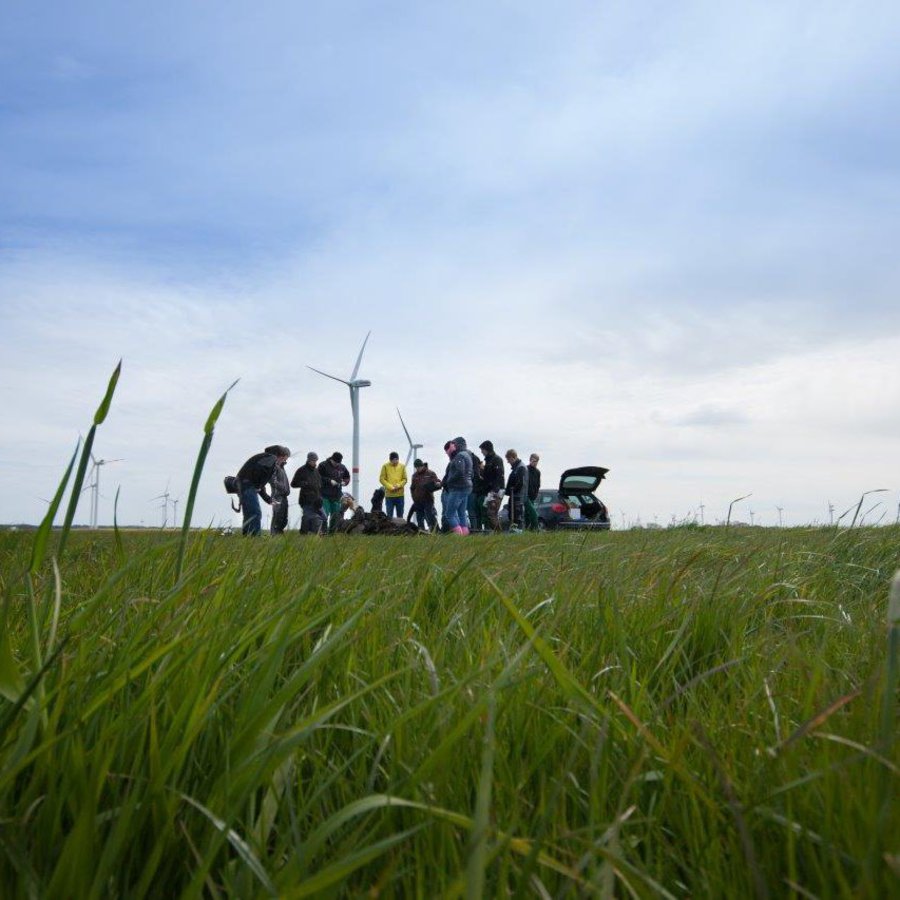 Eine Gruppe Studierender steht auf einem Feld.