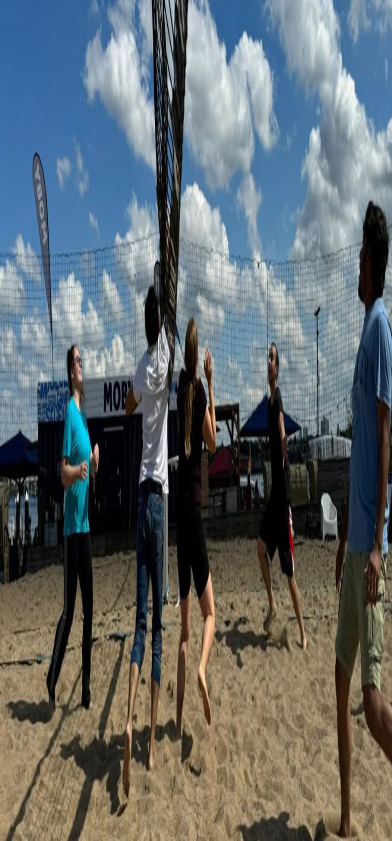 Volleyball
