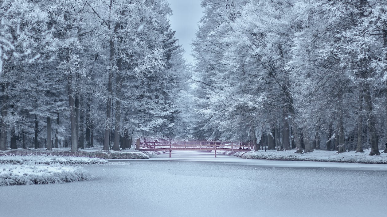 Winterlandschaft