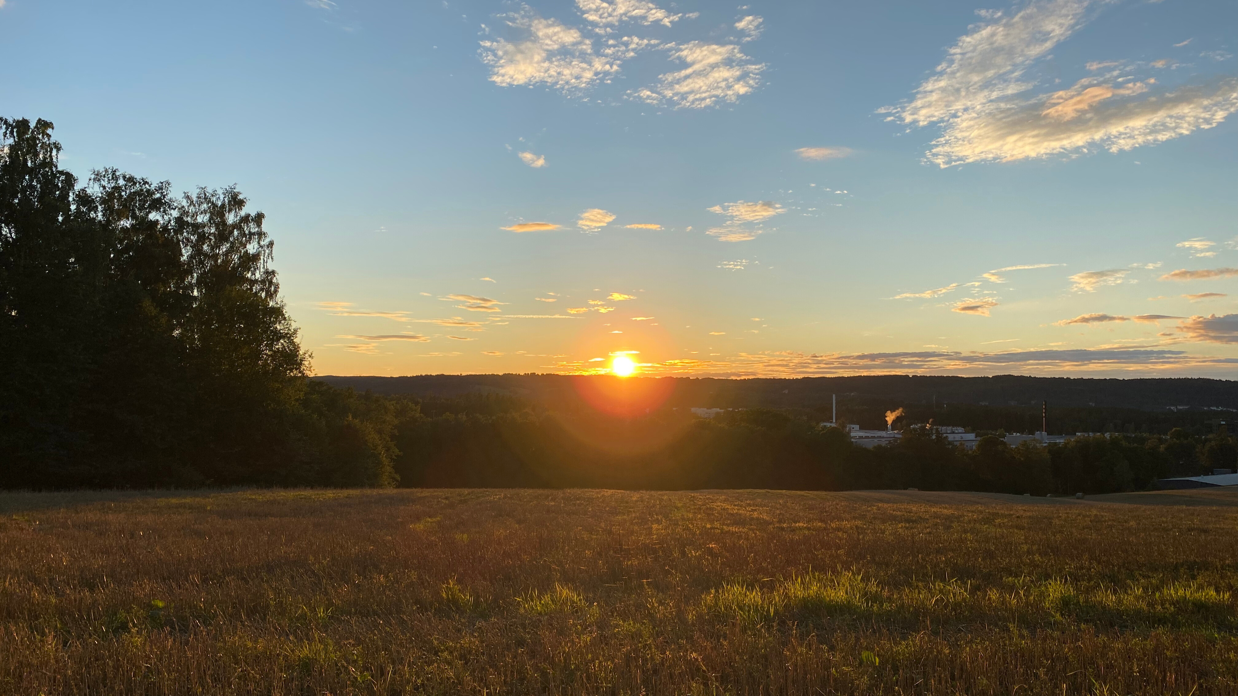 Sonnenuntergang über einem Feld