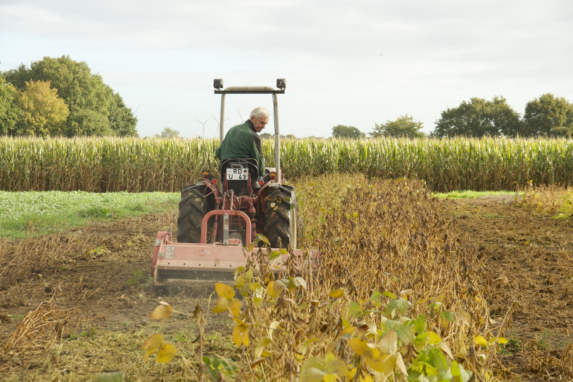 A tractor in a field