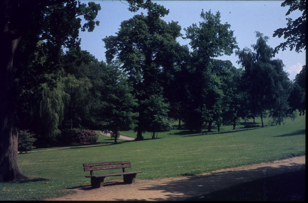 Der Park Forstbaumschule, wie er aussah im Jahr 1928. (Foto: wikimedia.commons.org)