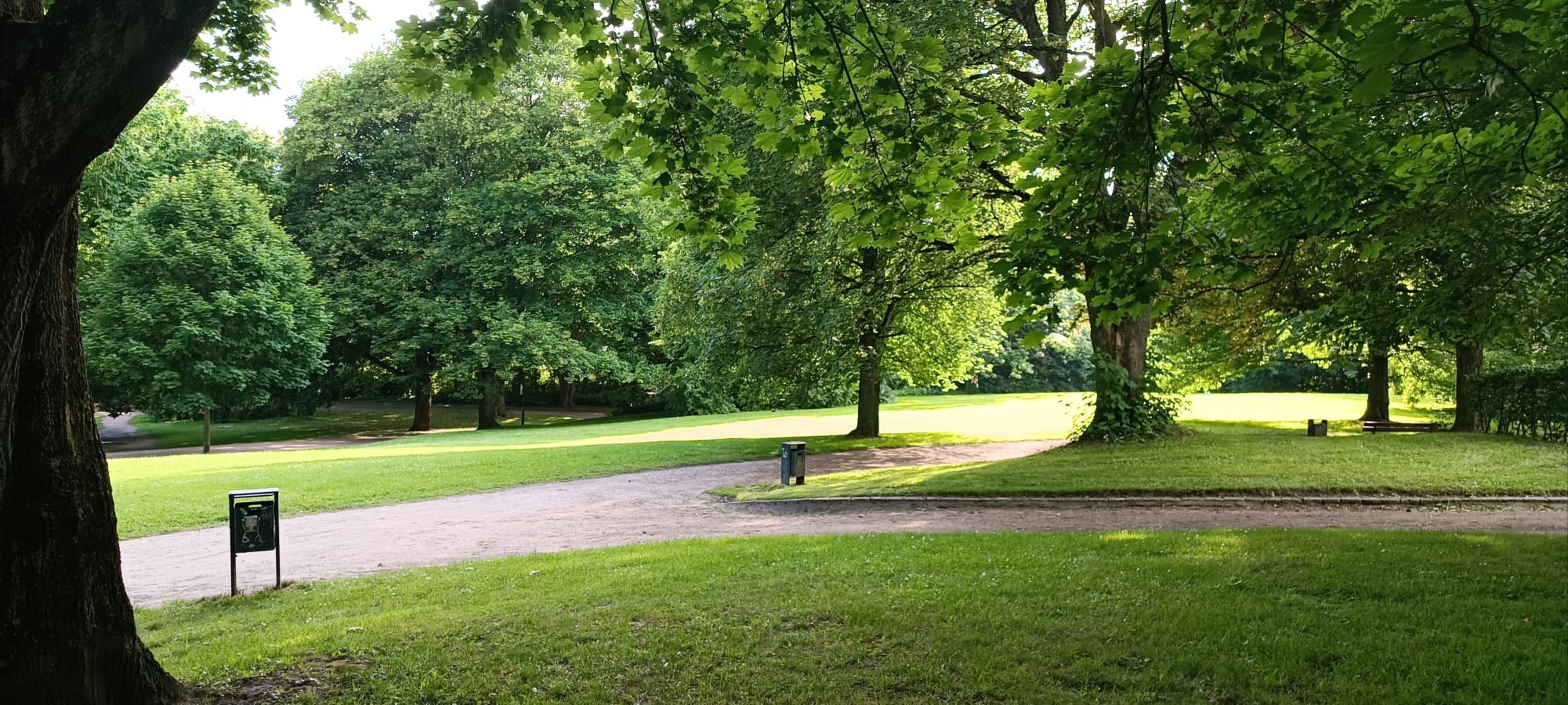 Auf der Ost-Seite der Stadt gibt es den Werftpark, der mit schöner Natur lockt. (Foto: Brahms)