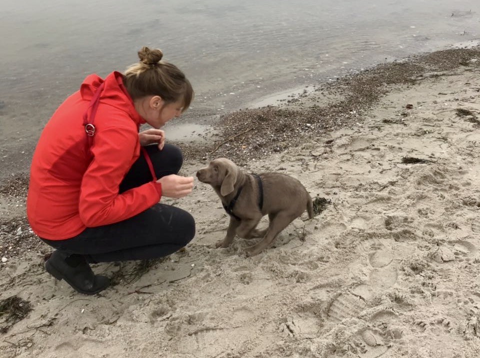 Eine Frau kniet vor einem Hundewelpen, am Ufer eines Strandes.