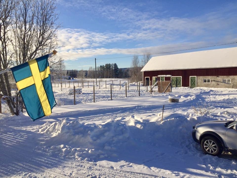 Eine schneebedeckte Landschaft, im Vordergrund ist eine schwedische Flagge zu sehen.