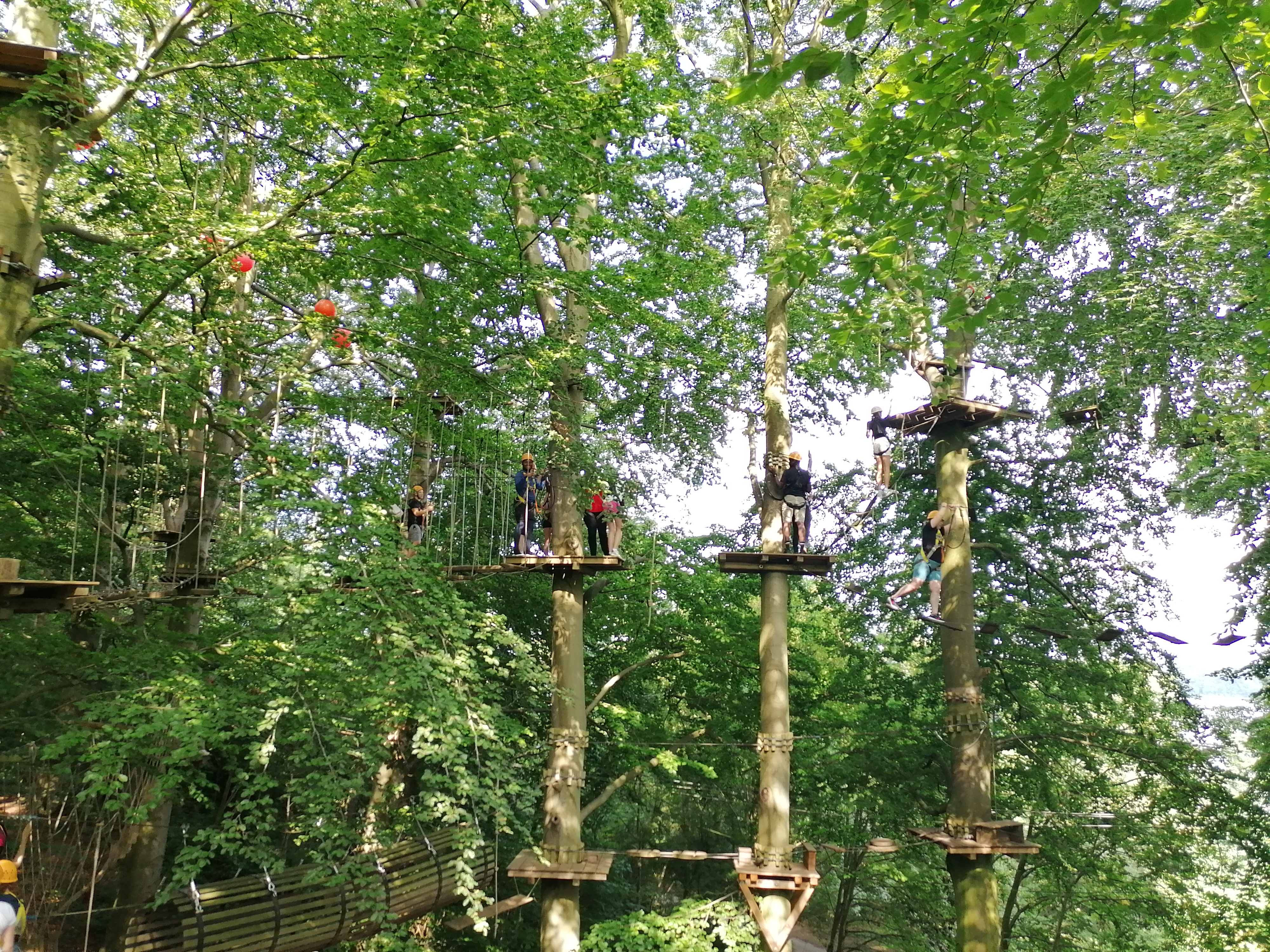 Hochseilgarten