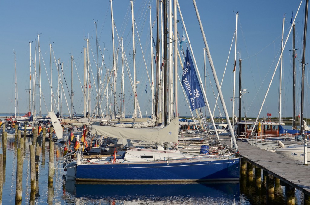 Mehrere Segelboote liegen an einem Steg, in einem Yachthafen.