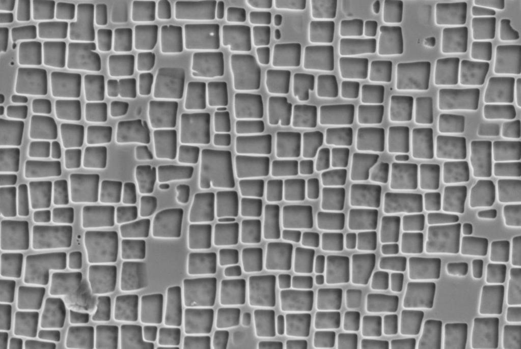 Elektronenmikroskopaufnahme einer Hochtemperaturlegierung im Schliffbild mit einem hohen Anteil an kubischen Ausscheidungsteilchen, die im Bild als Vierecke zwischen hervorstehenden Wänden zu sehen sind.