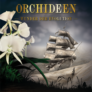 Orchideen